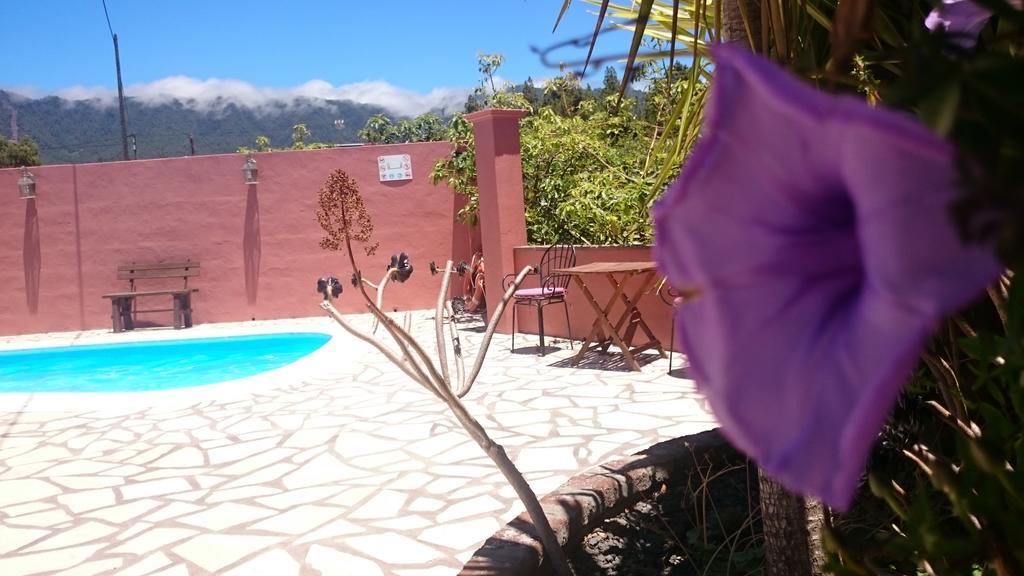 Casitas La Montanita Guest House El Paso Bagian luar foto