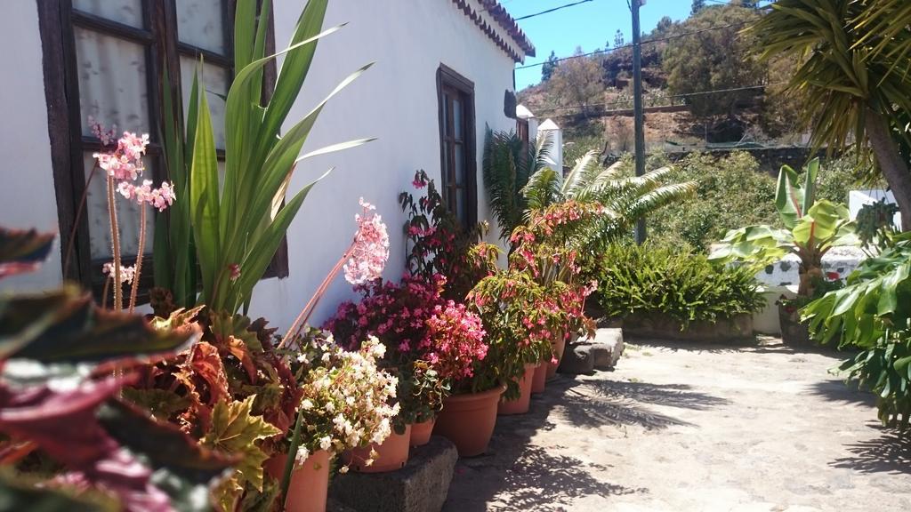 Casitas La Montanita Guest House El Paso Bagian luar foto